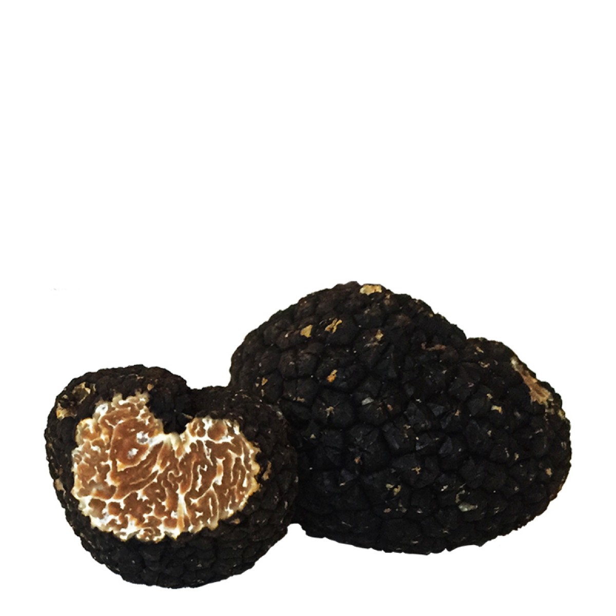 TruffeBourgogneFraiche100g_8.jpg