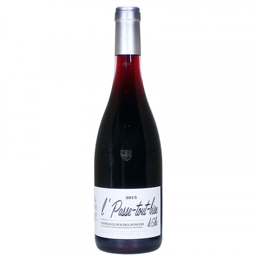 Fixin Vielles Vignes - Domaine Alain Guyard 75cl