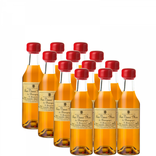 12 x Crème Cassis de Dijon 20% 5cl Briottet