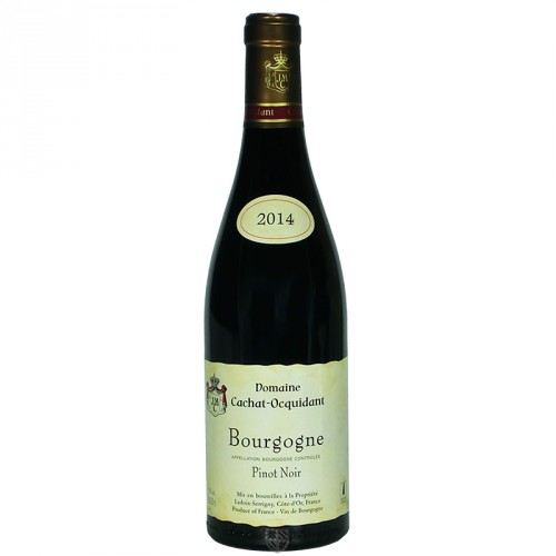 Bourgogne Pinot Noir 2021 - Domaine Cachat Ocquidant 75cl